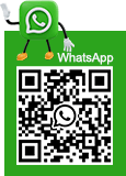 WhatsApp:+86-18953352218